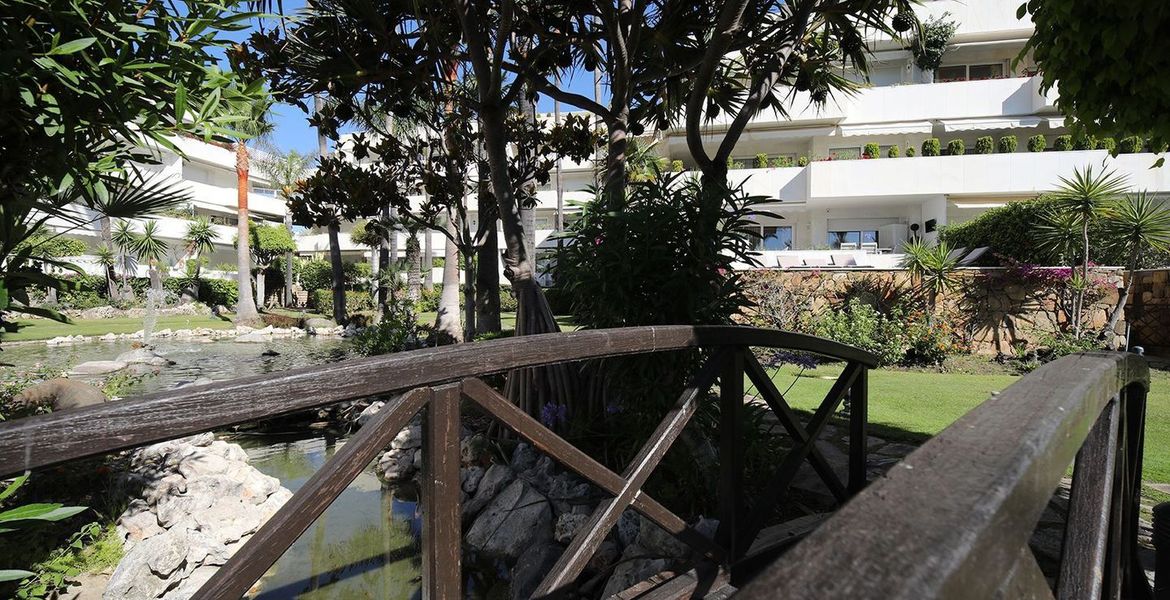 Apartment for Rent in Los Granados Puerto Banus
