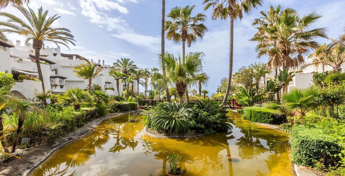 Beach Front Marbella Penthouse