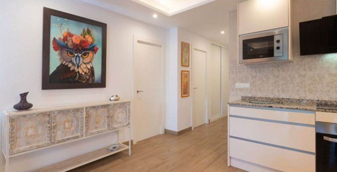 Renovated Apartment in Puente Romano with Private Terrace