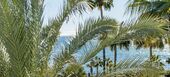 Ático dúplex de lujo frente al mar en venta
