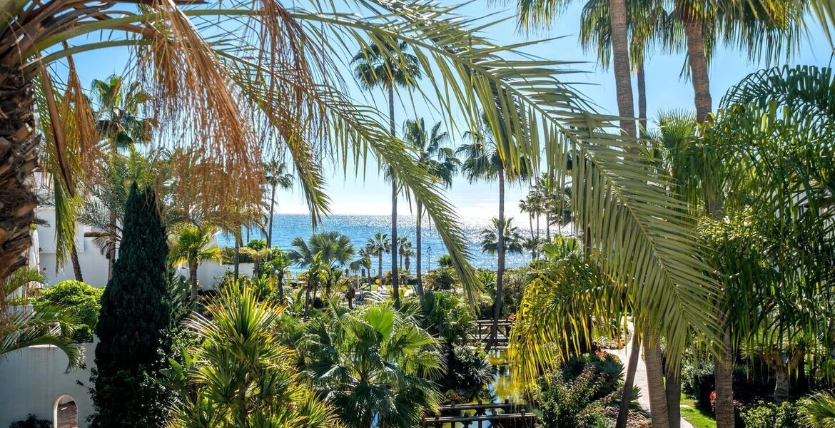 Ático dúplex de lujo frente al mar en venta